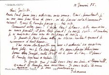 CPM Coquelicot Fleur