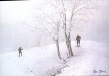 CPM Images De Chez Nous Randonnee Ski