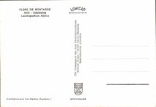 CPM Flore De Montagne Edelweiss Leontopodium Alpine