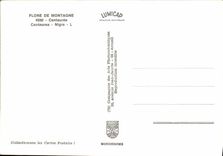 MODERN CARD Flora Of Mountain Centaury Centaurea Nigra