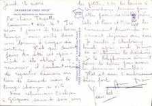 MODERN CARD Young Marmot Or Marmotton