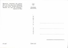 MODERN CARD Gulls Of the Strikes Birds