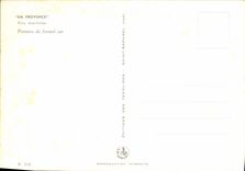 MODERN CARD In Provence Maritime pines