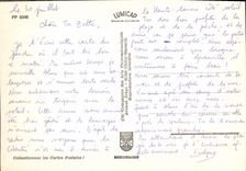 CPM La Flore Alpine Rhododendron Edelweiss Chardon Trolles Jonquilles Gentianes Lis orange