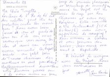 POSTAL MODERNA asnos en traseros