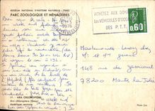 CPM Parc Zoologique Et Menageries Ara Chloroptere Amerique Centrale Perroquet Perruche 