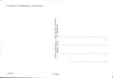 CPM Haute Provence Berger Chien Folklore