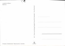 CPM Josephine Baker Rose