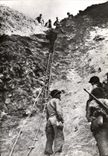 CPM Omaha Beach Grandcamps Les Bains Militaria Cricqueville en Bassin 