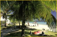 MODERN CARD Maurice Mauritius Hole With the Hinds