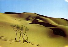 CPM Desert Sul agerien