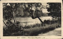 MODERN CARD Lyon Park of the Gold Head