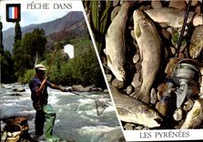 CPM Peche Dans Les Pyrenees Truite 