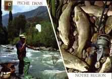 CPM Peche Dans Les Pyrenees Truite 
