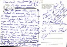 CPM Peche Dans Les Pyrenees Truite 