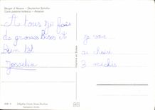 MODERN CARD Dog Shepherd of Alsace