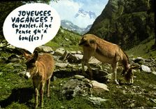 CPM Joyeuses Vacances Ane Mule