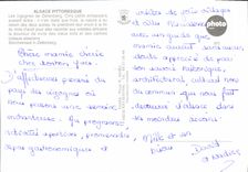 MODERN CARD Alsace storks of Zellenberg Bird