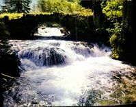 CPM Les Alpes Francaises Pure et limpide est l'eau du Torrent