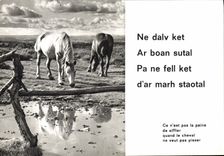 CPM Cheval