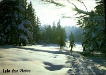 MODERN CARD Far from the Tracks Ski