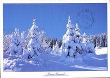 MODERN CARD Rene Gerald In the middle of the drill