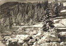 MODERN CARD Snow and Sun