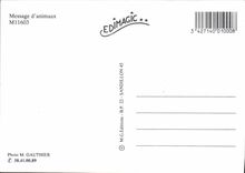 CPM Message D'Animaux Ane