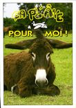 CPM Ca plane pour moi Ane