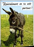 CPM Decidement on te Voit partout Ane