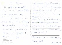 CPM Meilleurs Voeux Fleurs