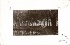 VINTAGE POSTCARD Small pond