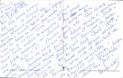 MODERN CARD Cat Kitten