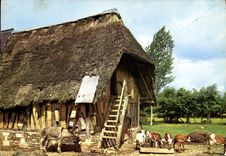 MODERN CARD Thatched cottage Norman Ass