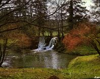 CPM Les Cascades Normandie 