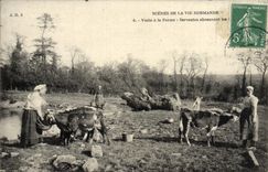 CPA Scenes De La Vie Normande Visite A la Ferme Vaches Folklore Servantes abreuvant les betes 