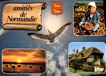 MODERN CARD Picturesque Normandy Folklore Gull Child Apples