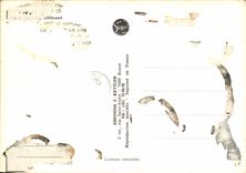 MODERN CARD Normandy Folklore Children Woman