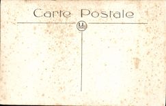 CPM Lourdes La Basilique Vue plongeante