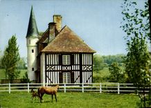MODERN CARD Surroundings of Trouville Deauville Pretty Norman manor close to Toucques Horse