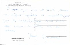 MODERN CARD Flowers of the Alps