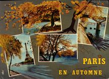 CPM Paris En Automne Tour Eiffel Les quais Le bois de Boulogne Griffe Querqueville