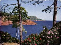 POSTAL MODERNA flores en la dimensión del azul