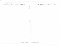 POSTAL MODERNA flores en la dimensión del azul