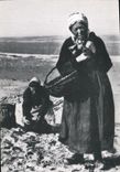 CPM La Normandie D'Autrefois Les Pecheuses de coques Peche Femme