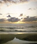 CPM Cote Atlantique Coucher De Soleil Sur La Plage