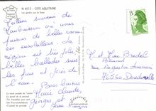 CPM Cote Aquitaine Les Genets Sur La Dune