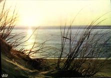 CPM Cote Atlantique Coucher De Soleil