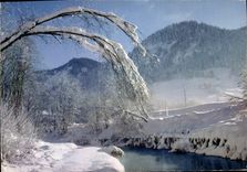 CPM Neige Et Soleil Le Torrent En Hiver