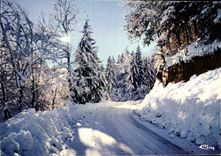 CPM Neige Et Soleil Contre Jour